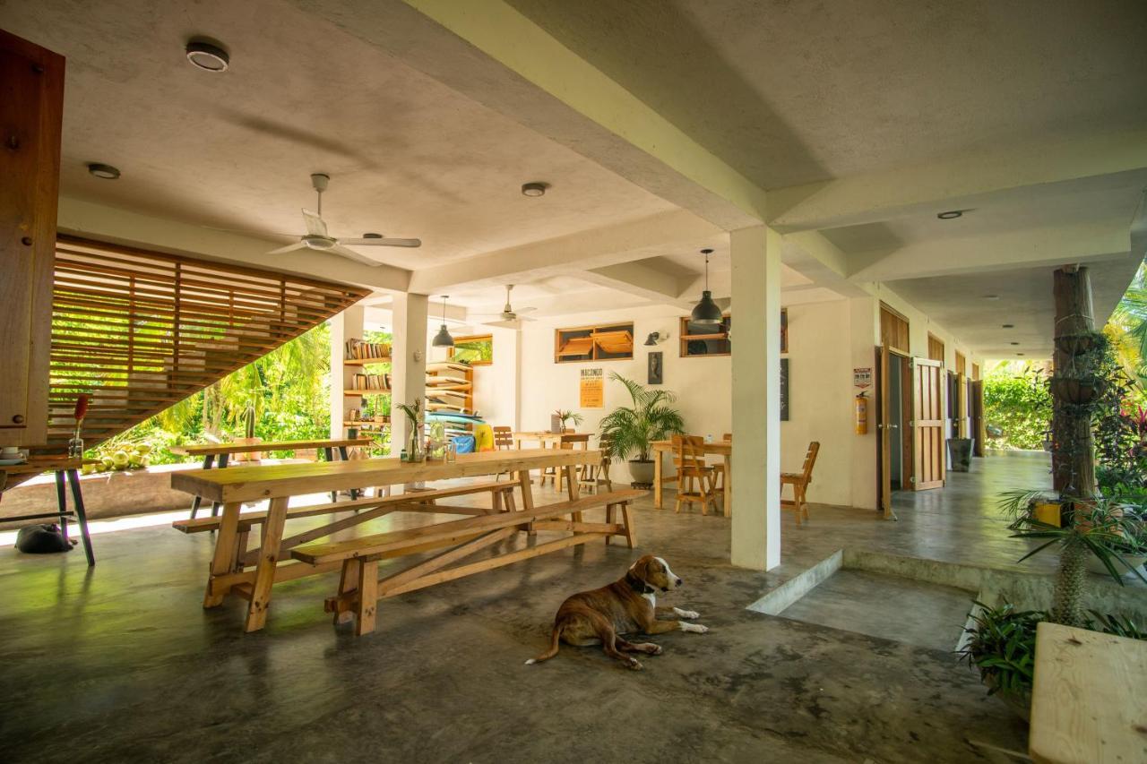 Casa Chapolin Boutique Guesthouse Palomino Exterior photo