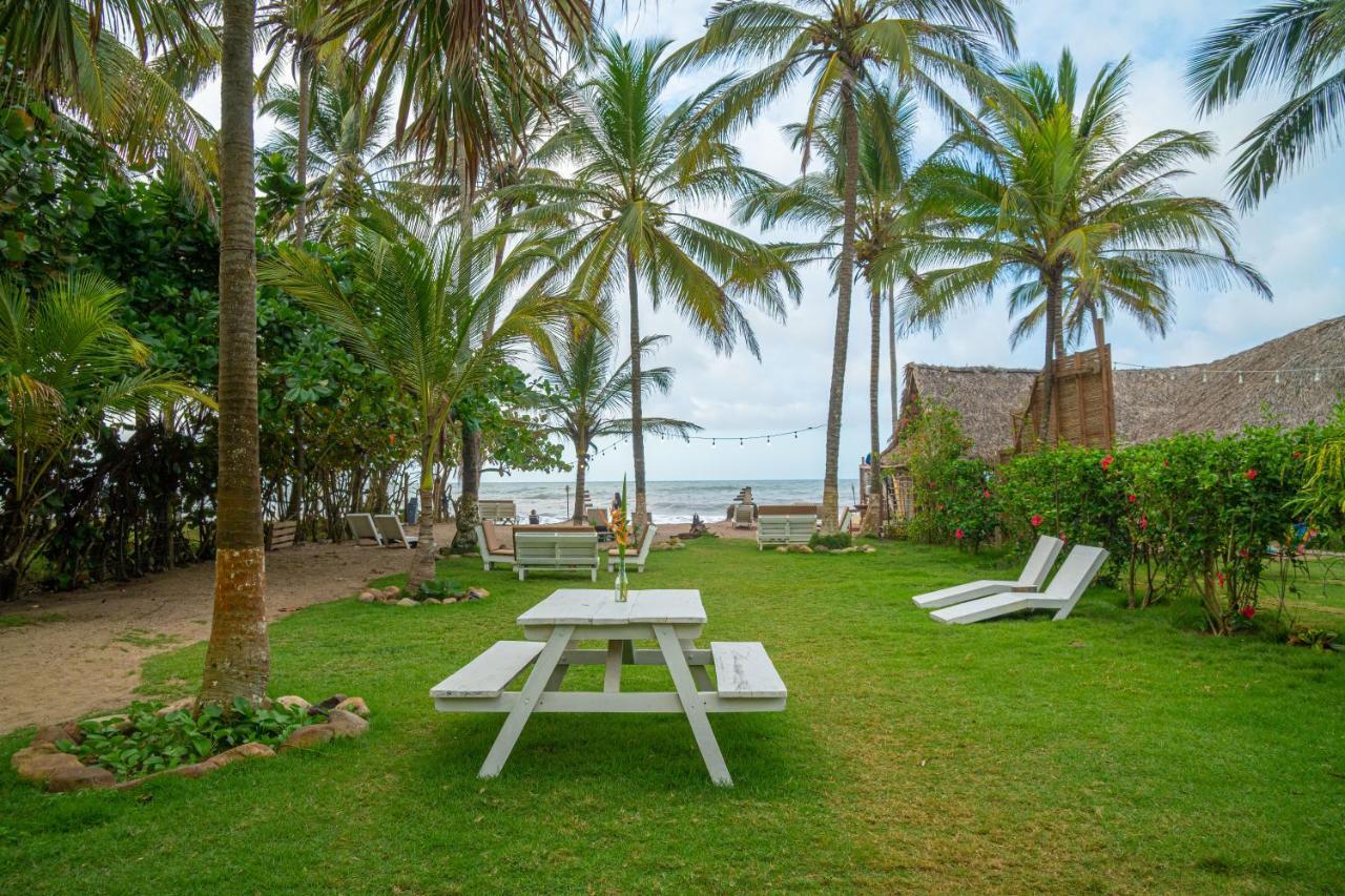 Casa Chapolin Boutique Guesthouse Palomino Exterior photo