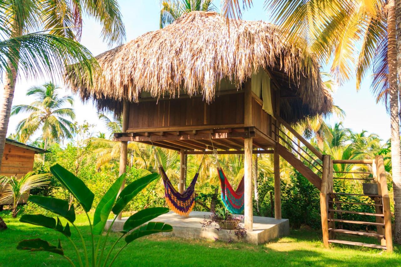 Casa Chapolin Boutique Guesthouse Palomino Exterior photo